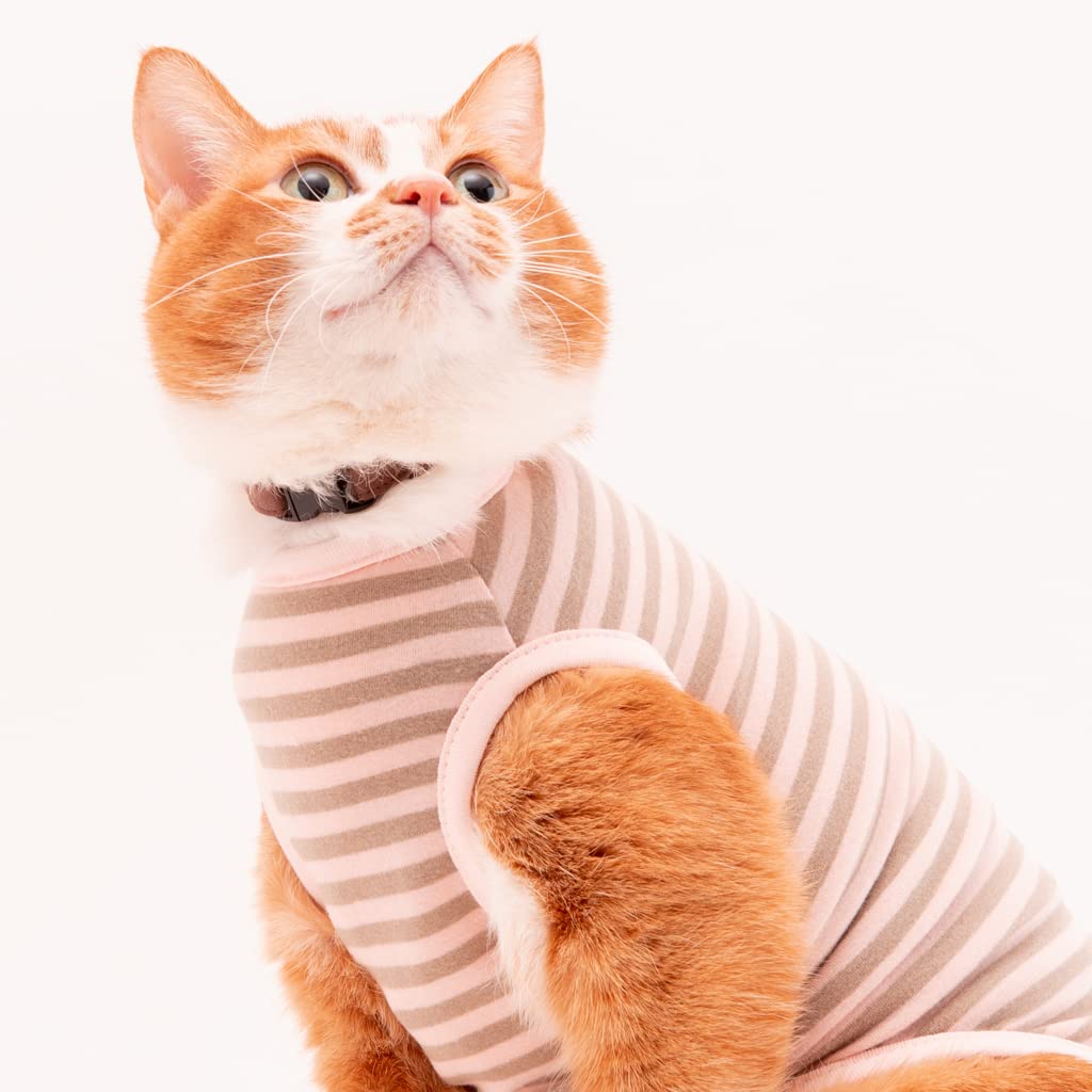 Amazon.co.jp: ぽぽねこ